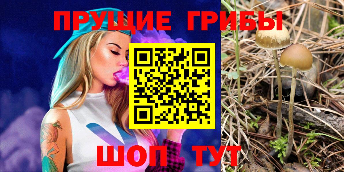 Галлюциногенные грибы GOLDEN TEACHER Тула