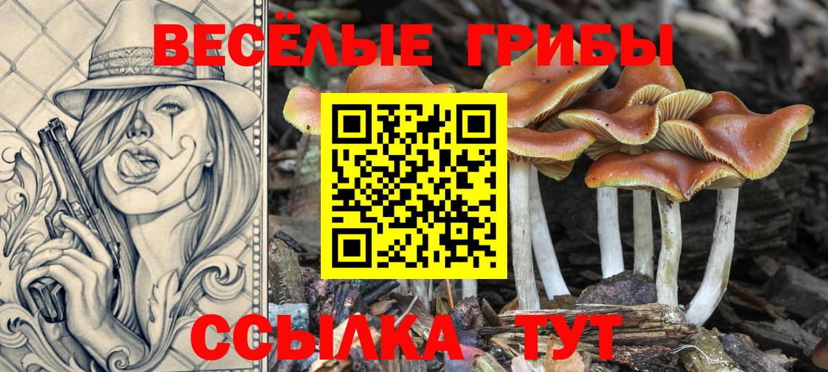Галлюциногенные грибы MAGIC MUSHROOMS  Вход с VPN  Тула 