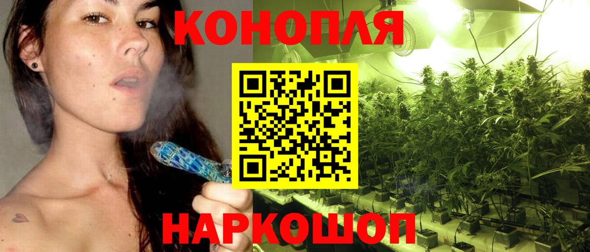 Шишки марихуана конопля  МАРИХУАНА OG Kush  Вход с VPN  Шишки марихуана план  Каннабис VHQ  Тула 